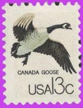 10 Canada Goose - Birds - Unused Fresh, Bright US Postage Stamps - Vintage 1978 - Stock# 1757c ping