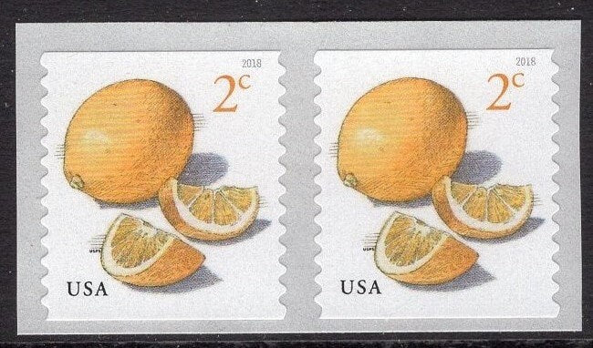 100 Meyer Lemon 2c Lemons - NOT For Ever stamps -GREAT for WEDDINGS, Invitations - Bright Postage- Vintage 2018 - Stock# 5256