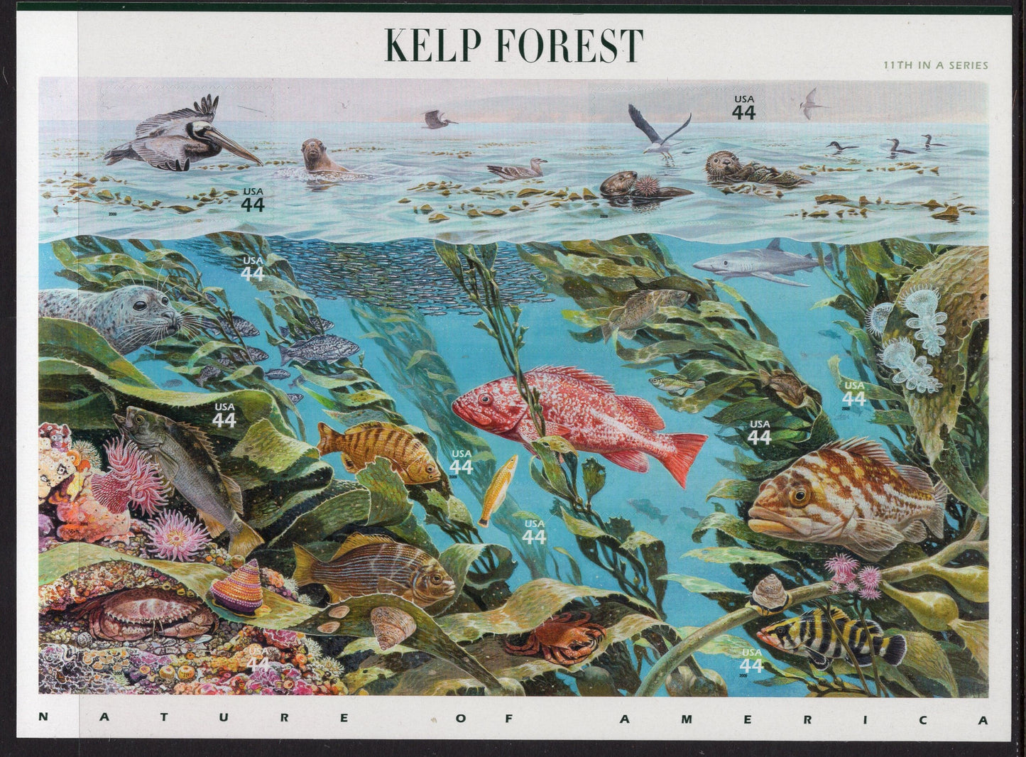KELP UNDERWATER FOREST Beautiful Sheet of 10 - Nature of America Series #11 of 12 - Fresh Bright - Vintage 2009 - Stock# 4423