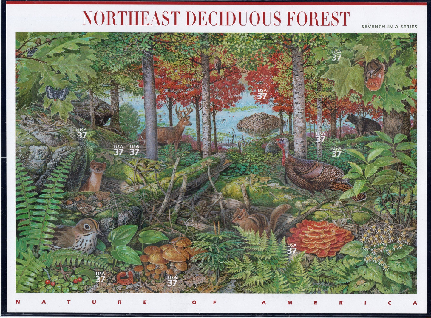 NATURE of AMERICA SCENES 12 Different Sheets of 10 - Hawaii Coral Fresh Bright Beautiful - Vintage 1999- -Stock# WoA
