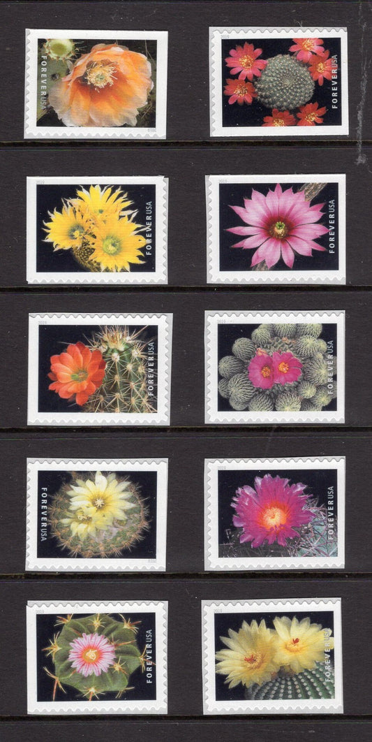 10 FLOWERING CACTUS Forever USA Postage Stamps Great Wedding Bright, Post Office Fresh - Vintage 2019 - Stock# 5350 ping