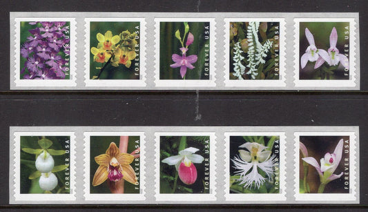 10 DIFFERENT ORCHIDS FOREVER in Two Strips of Five Forever Bright USa Postage Stamps - Vintage 2020 ping
