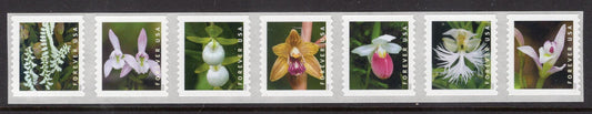 7 Different ORCHIDS in Strip of Seven Great for WEDDINGS Forever, Bright US Postage Stamps - Vintage 2020 