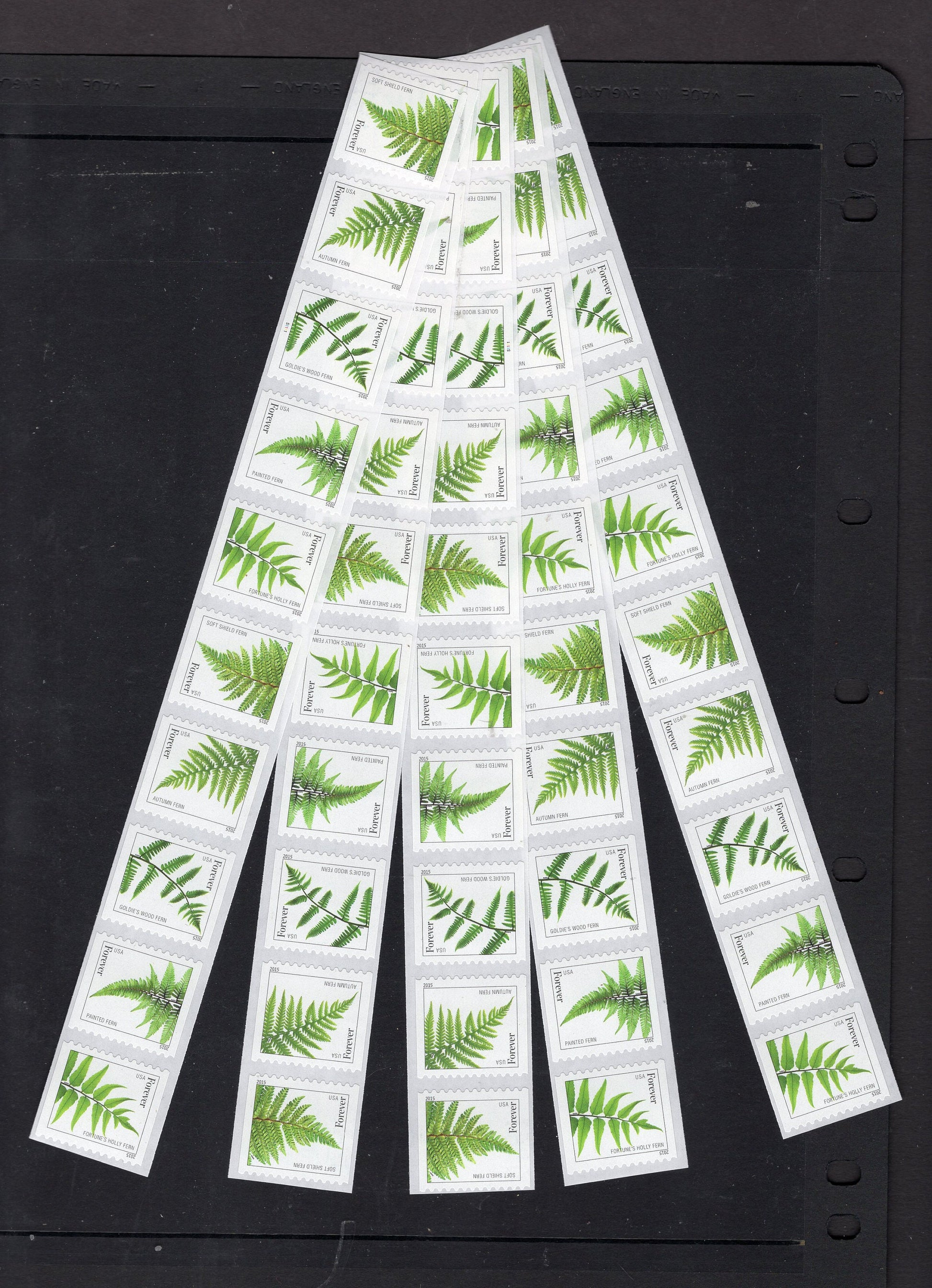 100 FERN FERNS FOREVER Stamps: Coil Roll of 100 Mint Postage Great for Special Invitations - Usa Postage - Vintage 2015 