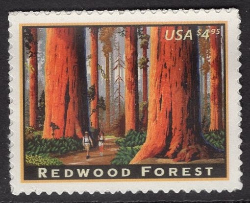 1 REDWOOD FOREST Sequoia National Park Landmark Priority Stamp Bright Fresh Usa Postage Stamp - Vintage 2009 - Stock# 4378 