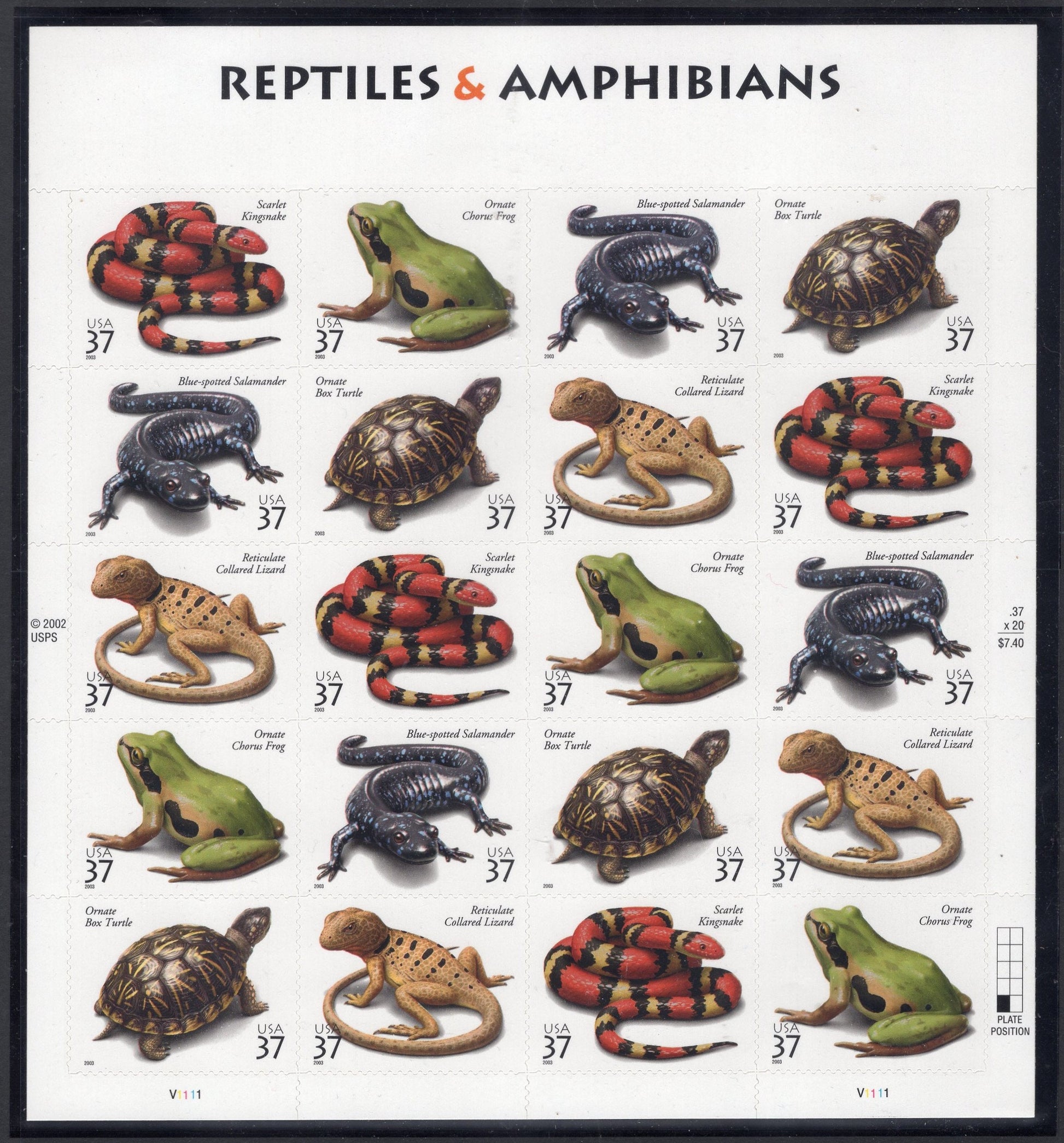 REPTILES inc TURTLE KINGSNAKE Frog Salamander Lizard Decorative Sheet of 20 - 37c Bright Fresh Stamps Vintage 2003 -Stock# 3814-FreeUSA Ship