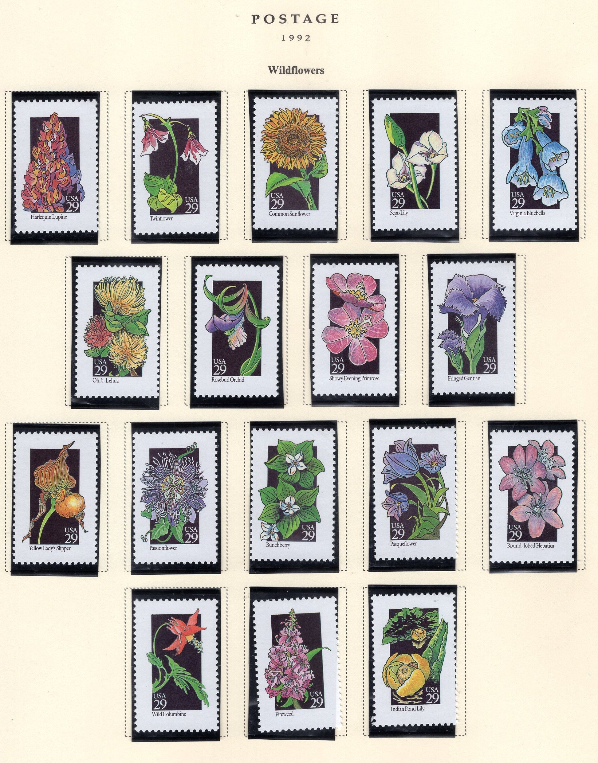 50 WILDFLOWERS WILD FLOWERS - All Different Fresh Bright Usa 29c Stamps - Please See the 3 Scans -Vintage 1992 - Stock#2647SN FreeUSA Ship