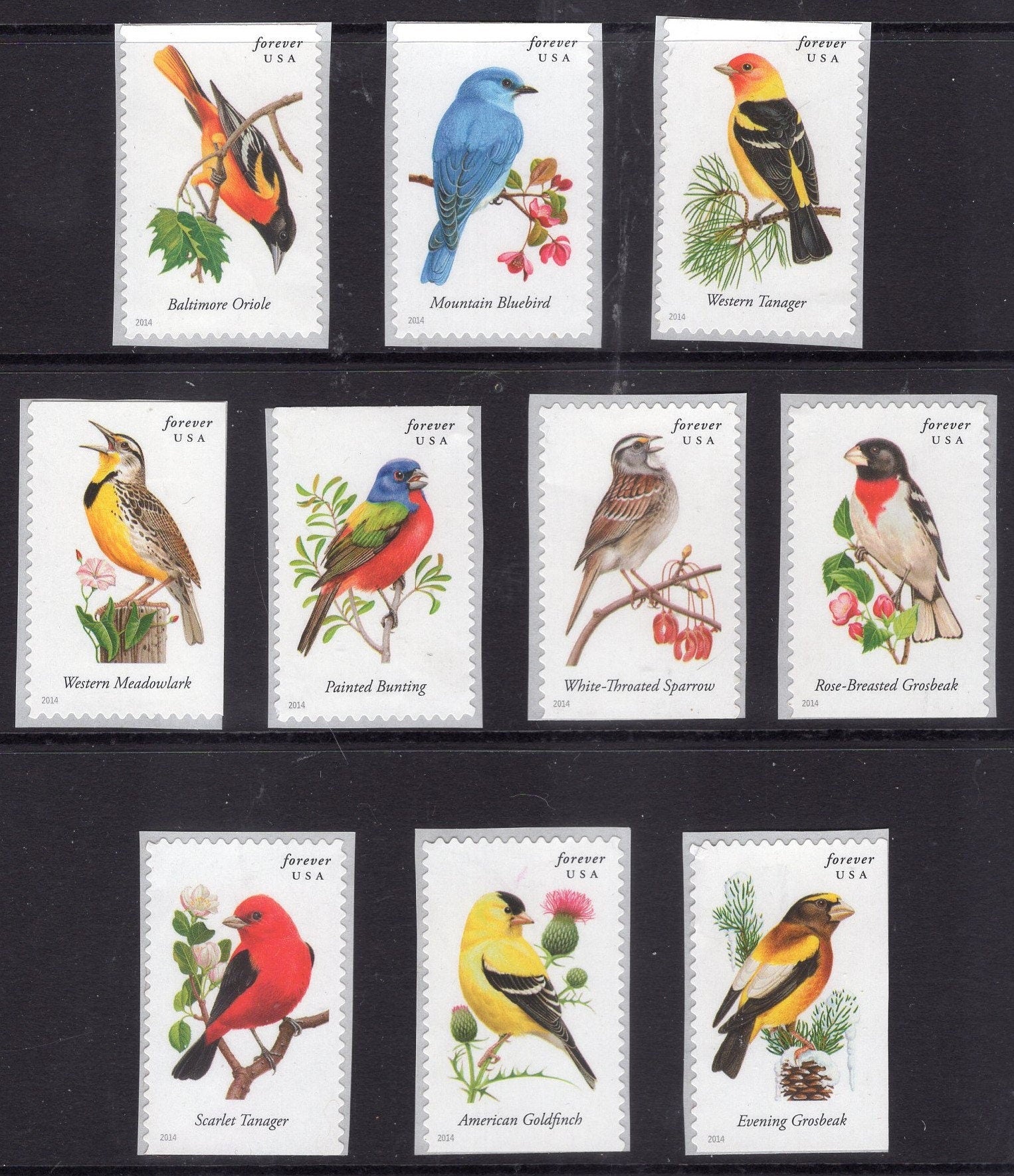 10 BEAUTIFUL SONGBIRDS FOREVER Stamps Lark Bluebird Oriole Tanager Finch Postage Stamps Collection -Vintage 2014- Stock# 4482 